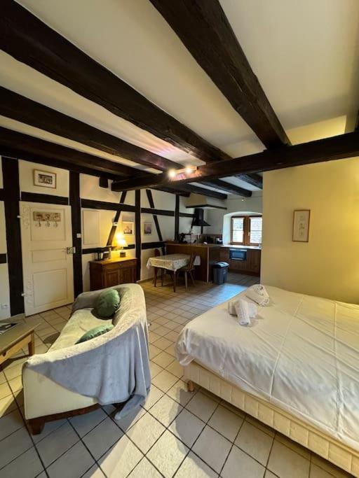 Gite "Le Sylvaner" A Riquewihr Exteriér fotografie